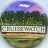 Cruisewatch