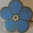 BLUE FIVE LEAFED FLOWER 