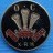 10th royal Hussars Old Comrades Association Lapel 