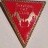Wyvern Cat Club Enamel Pin Badge